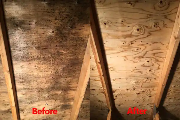 water damage restoration service Fairton